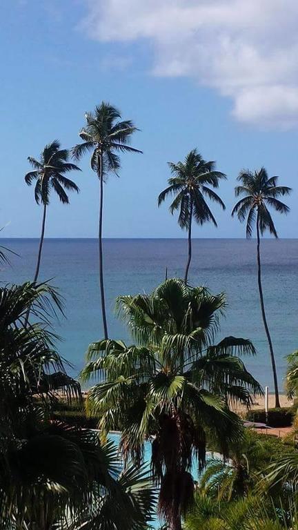 Las Palmas Inn رينكون المظهر الخارجي الصورة